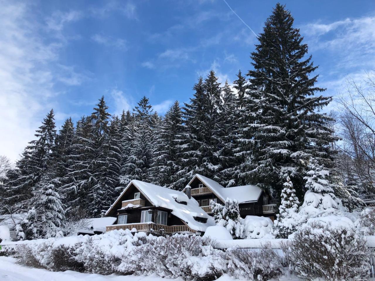 Chata Jezevec Hojsova Stráž Bagian luar foto
