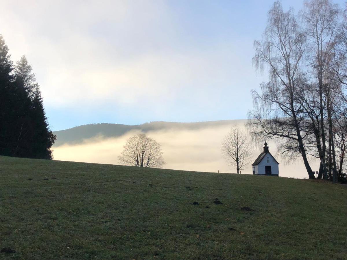 Chata Jezevec Hojsova Stráž Bagian luar foto